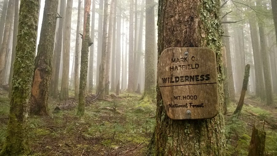Photo from Eagle-Benson Loop Hike