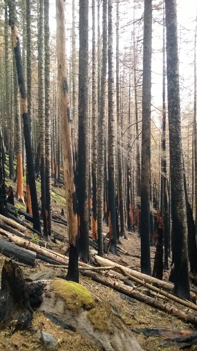 Photo from Eagle-Benson Loop Hike