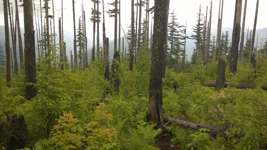 Photo from Eagle-Benson Loop Hike