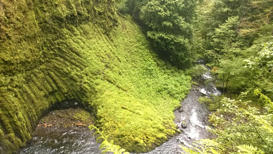 Photo from Eagle-Benson Loop Hike
