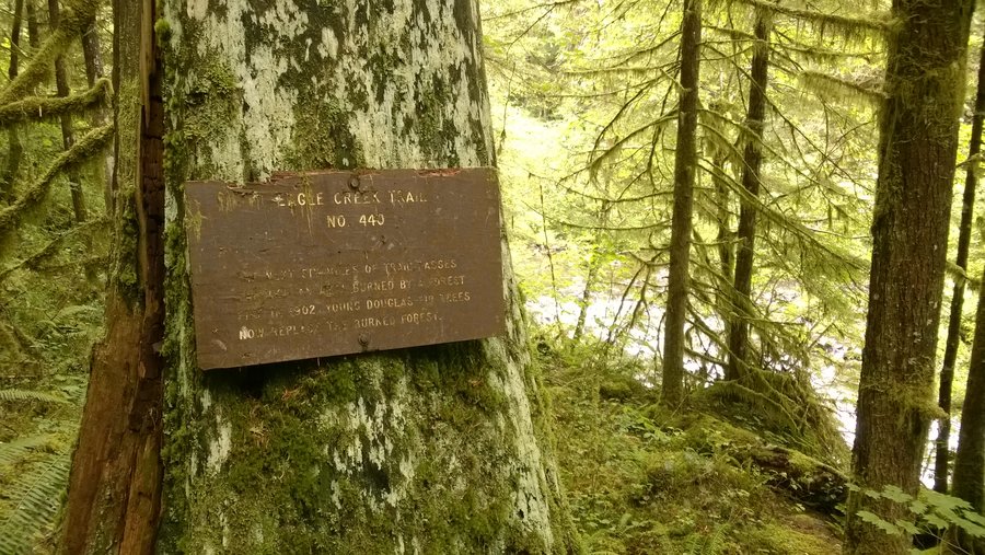 Photo from Eagle-Benson Loop Hike