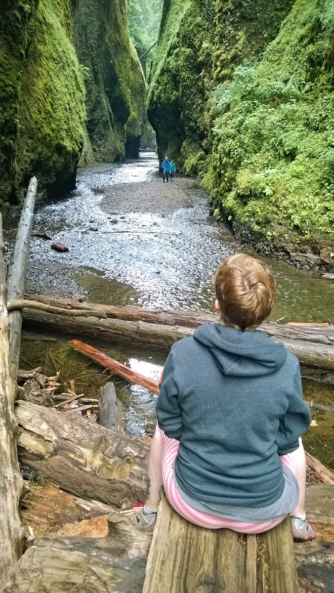 Photo from Oneonta Gorge