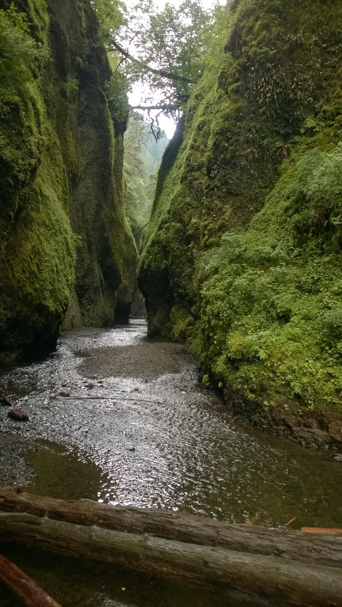 Photo from Oneonta Gorge