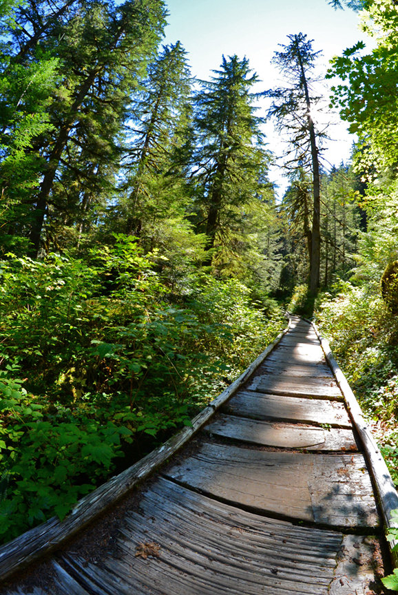 Photo from Gothic Basin Dayhike