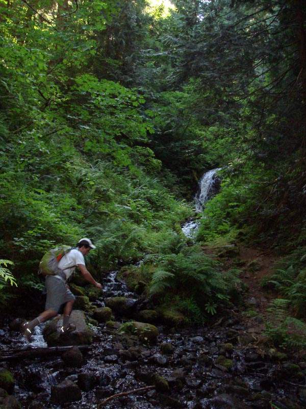 Crossing Tanner Creek after leaving Road 777. Much lower water than the last time I did this (January).