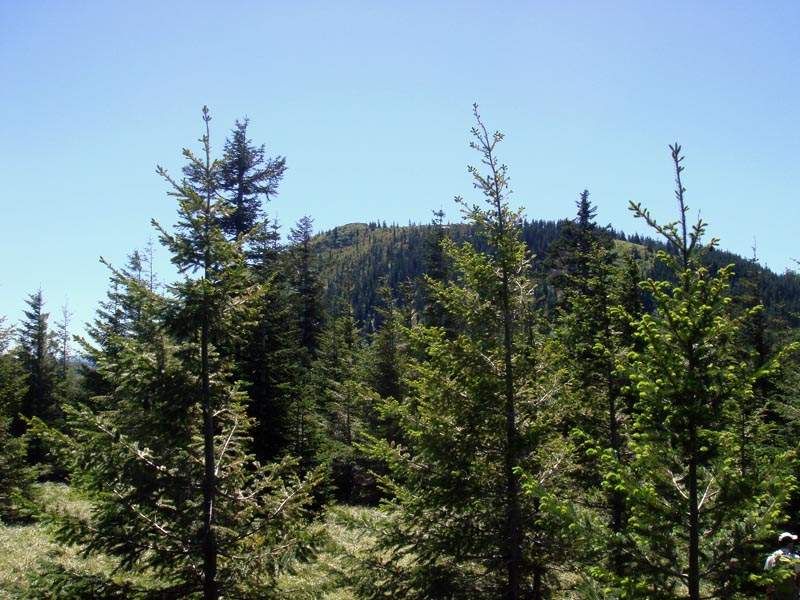 First view of a snow-free Tanner Butte.