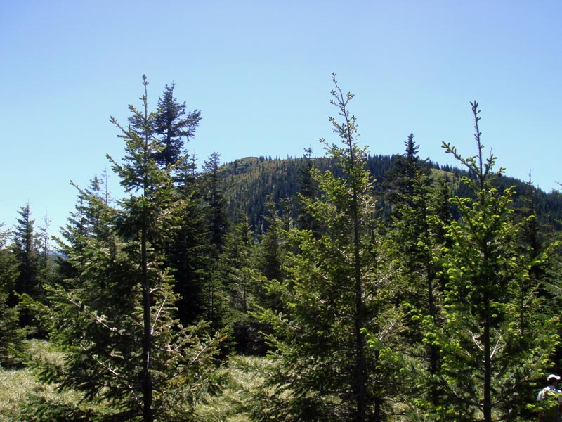 First view of a snow-free Tanner Butte.