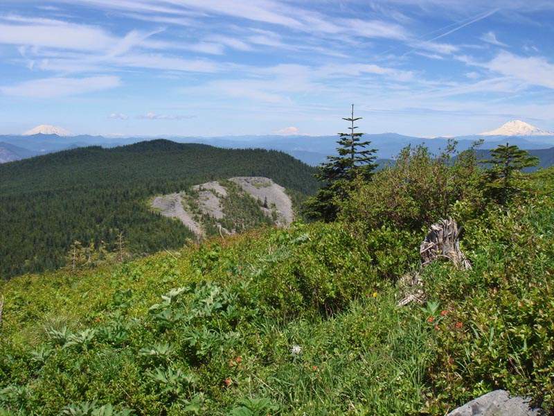 View north, looking back at Tanner Ridge (or whatever it's called), and three volcanoes.
