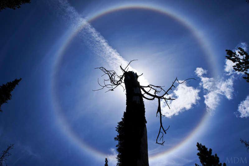 halo
