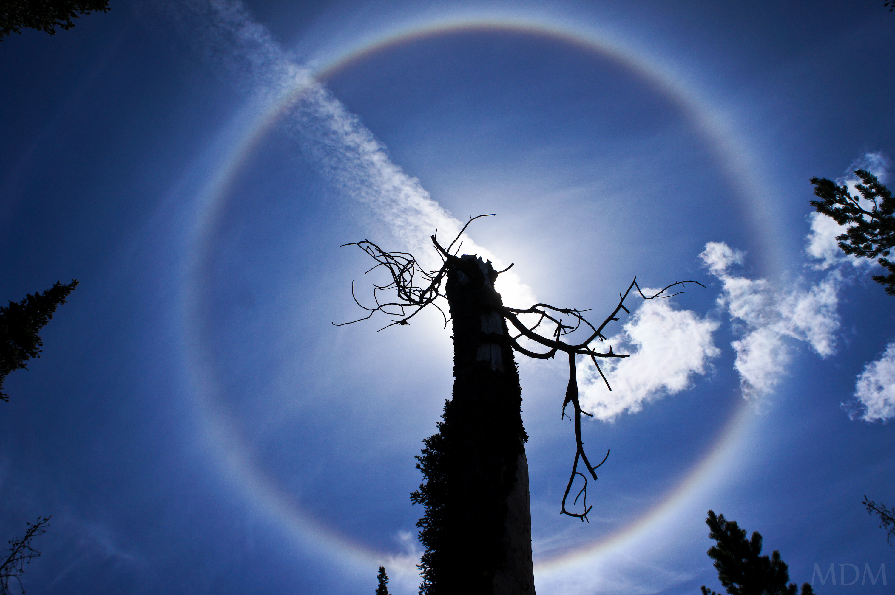 halo