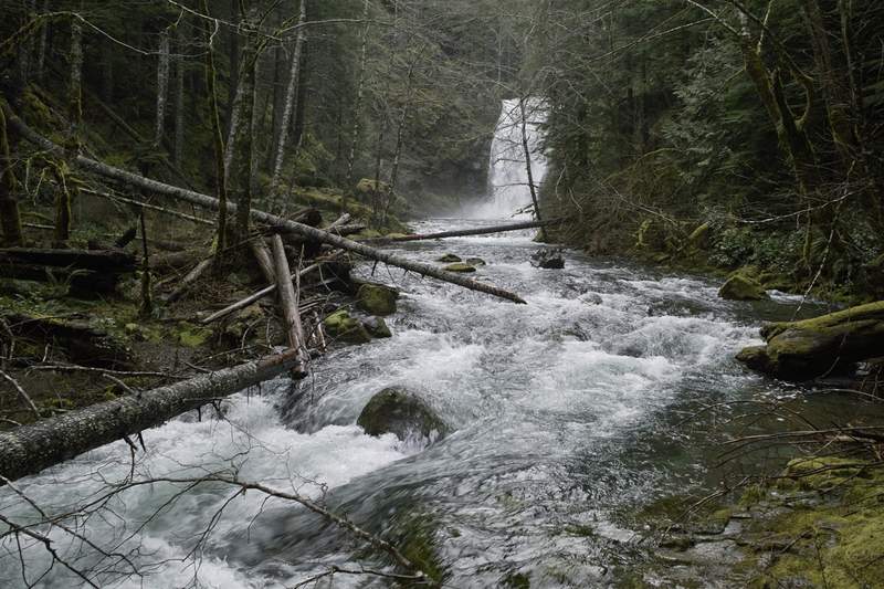 Chinook Falls