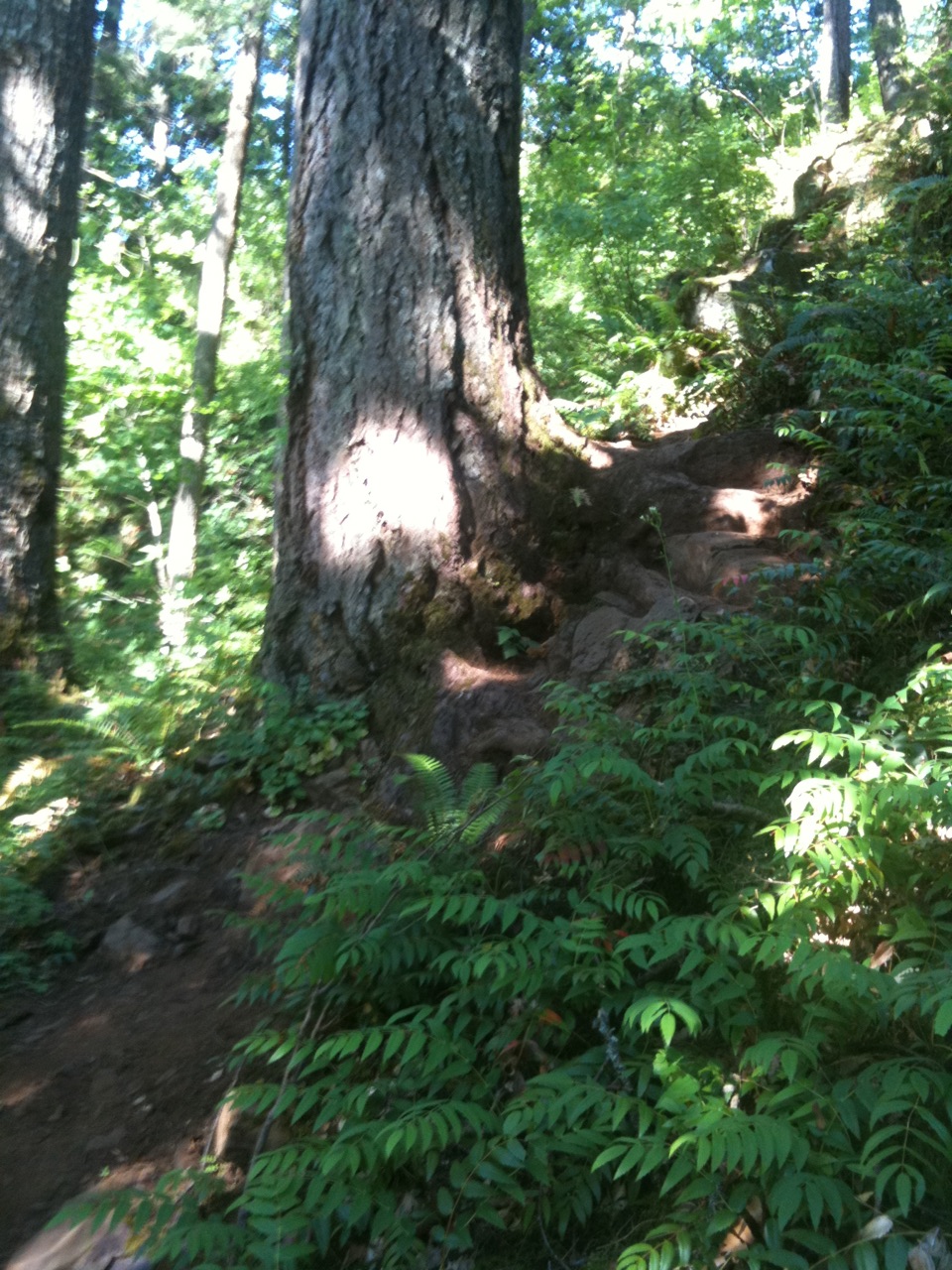 steep