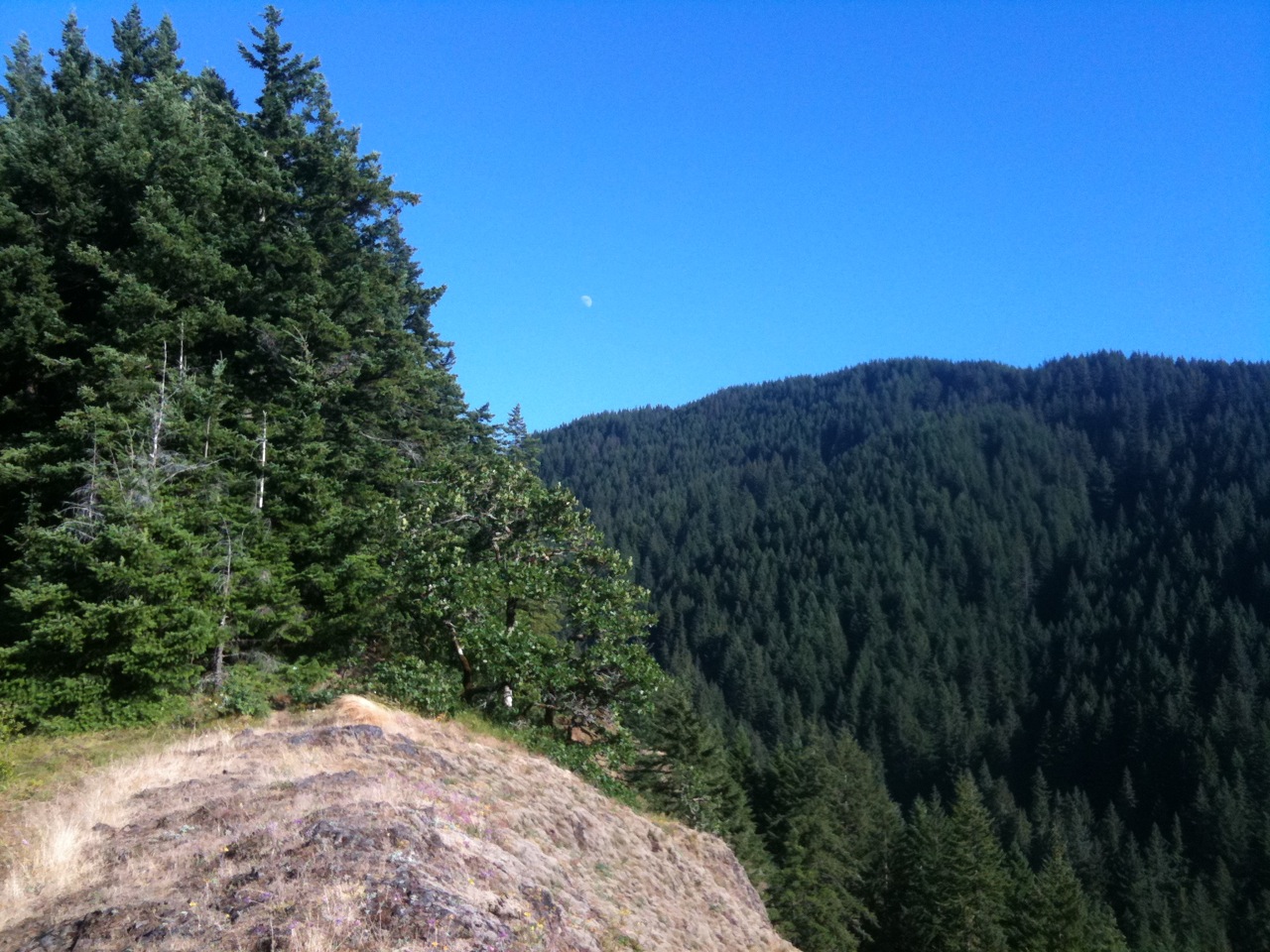 view 2, moon.  looking south