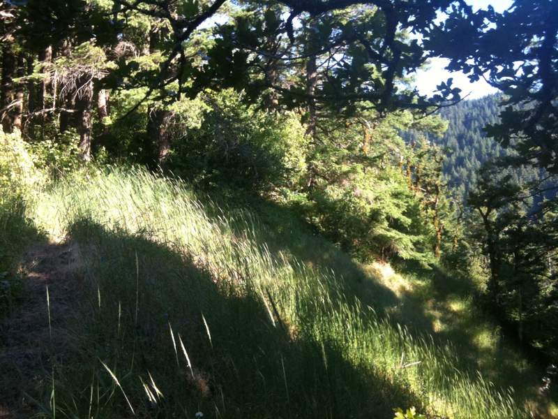 further up the ridge