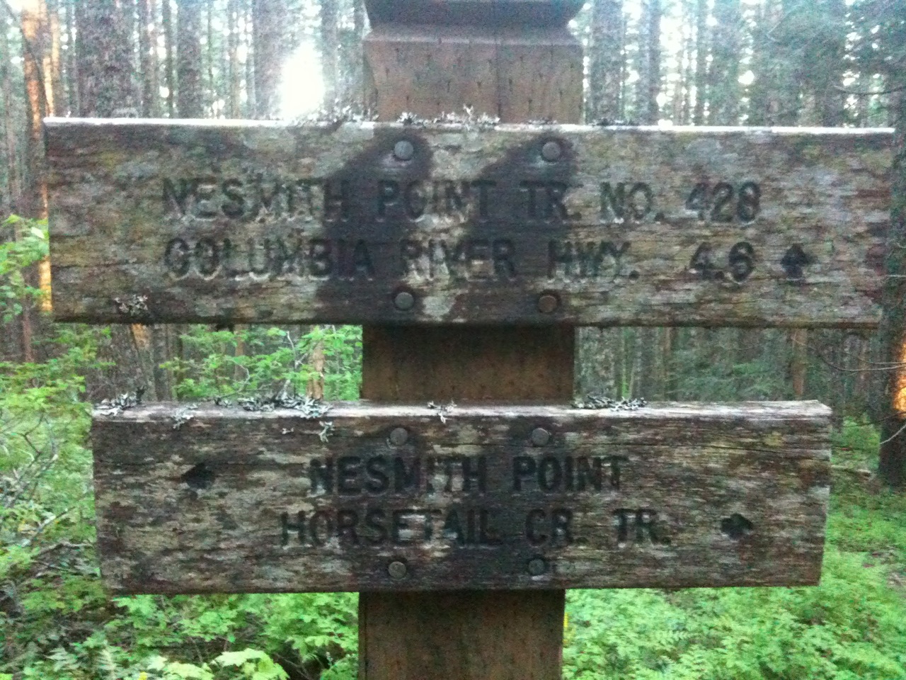horsetail creek trail,  nesmith point road junction