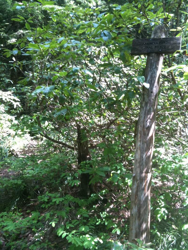 wauneka trail sign