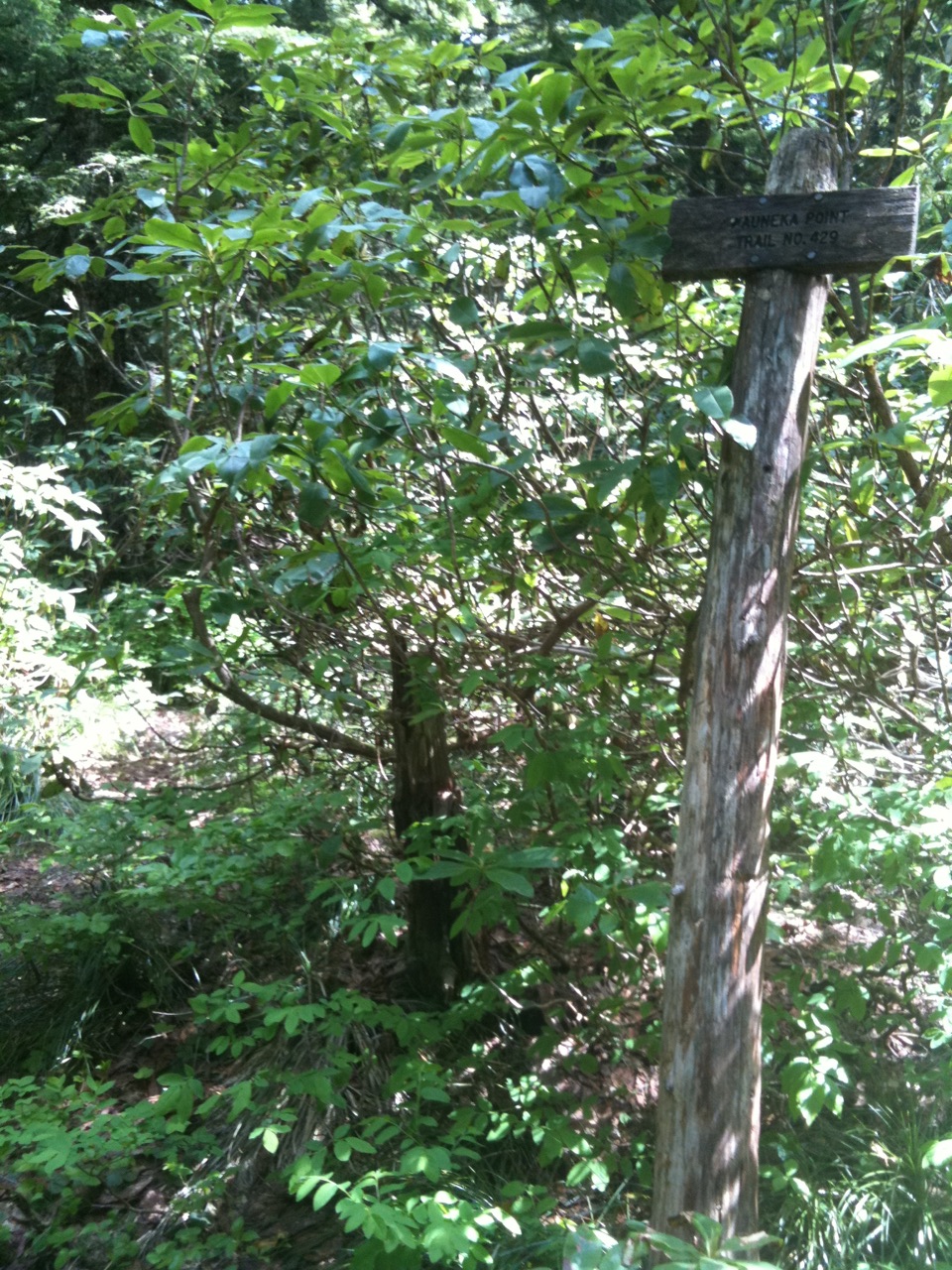 wauneka trail sign