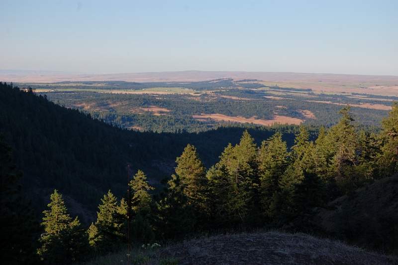 View east from saddle viewpoint