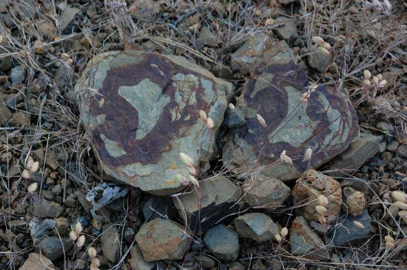 Geology
