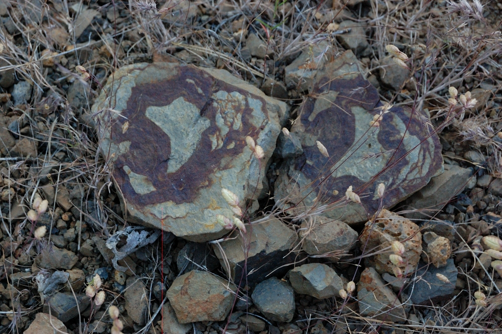 Geology