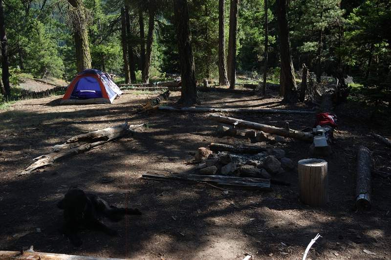 My camp