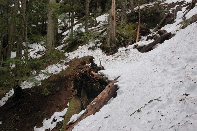 trail above 2,500'