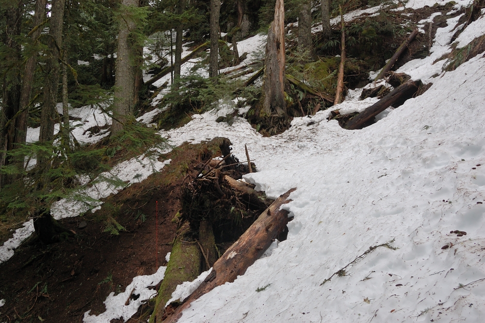 trail above 2,500'
