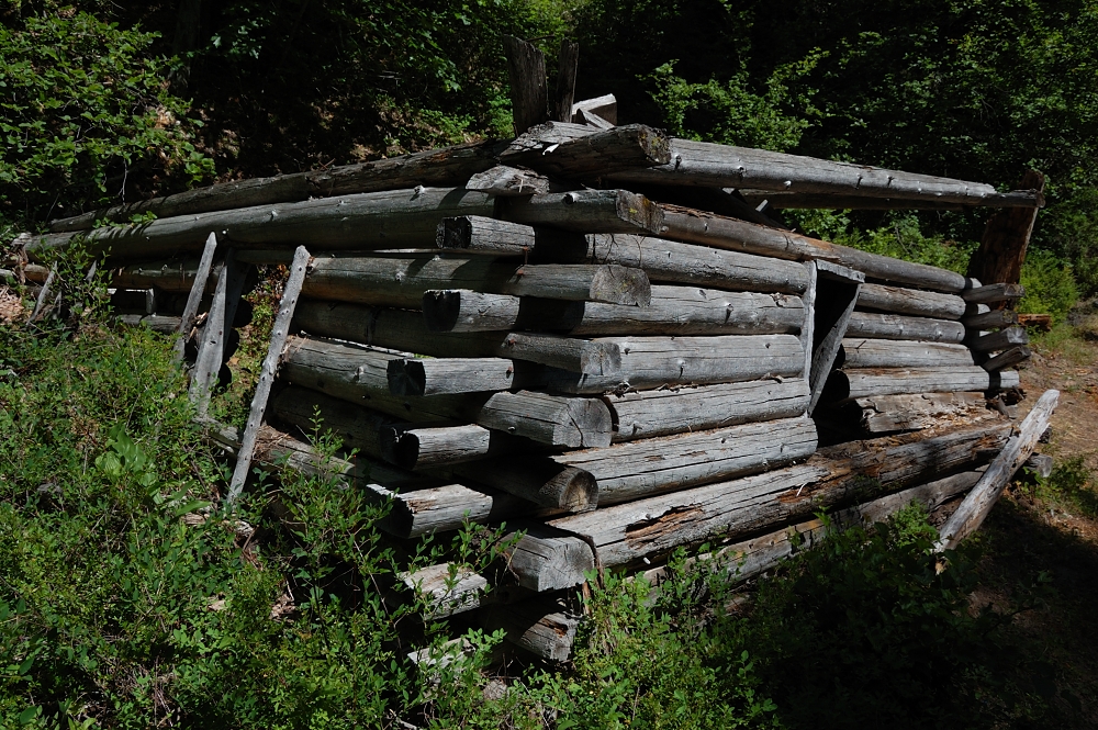 Miners' cabin