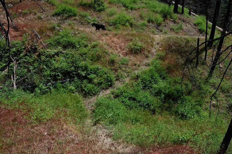 Was surprise to reconnect with my trail, never saw when I left it