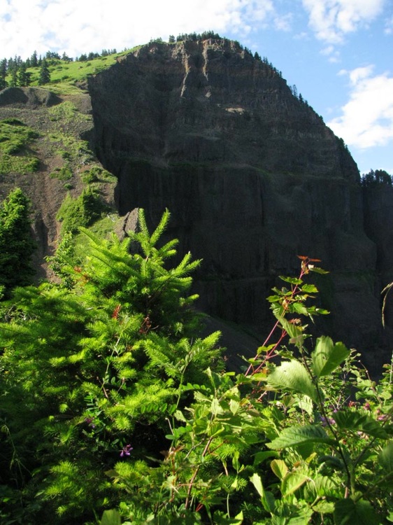 Table Mountain