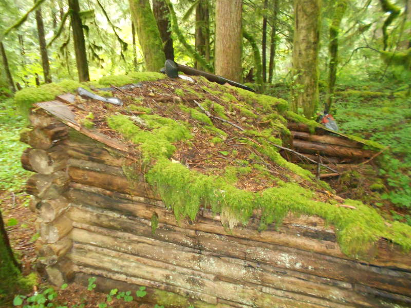 Cabin 1