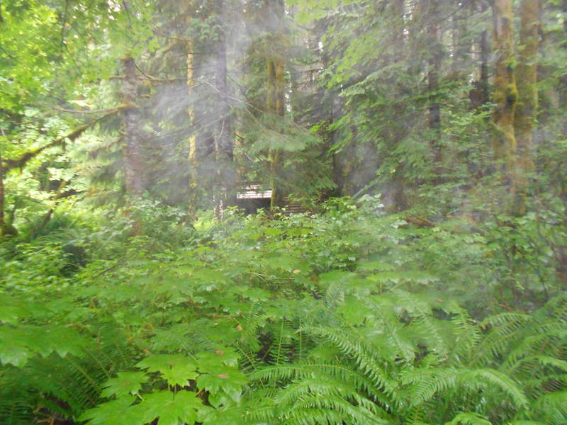 Cabin 2 from afar