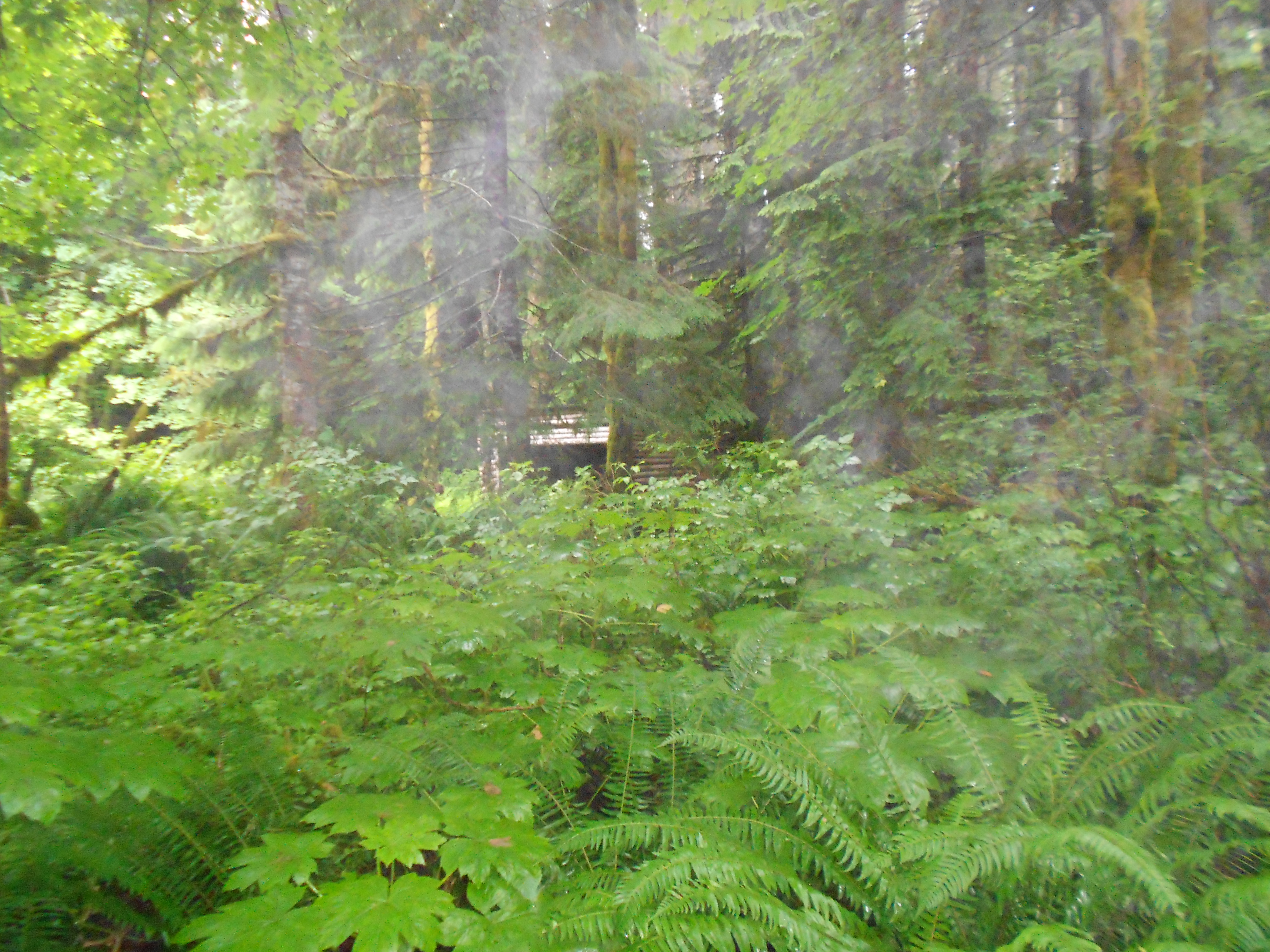 Cabin 2 from afar