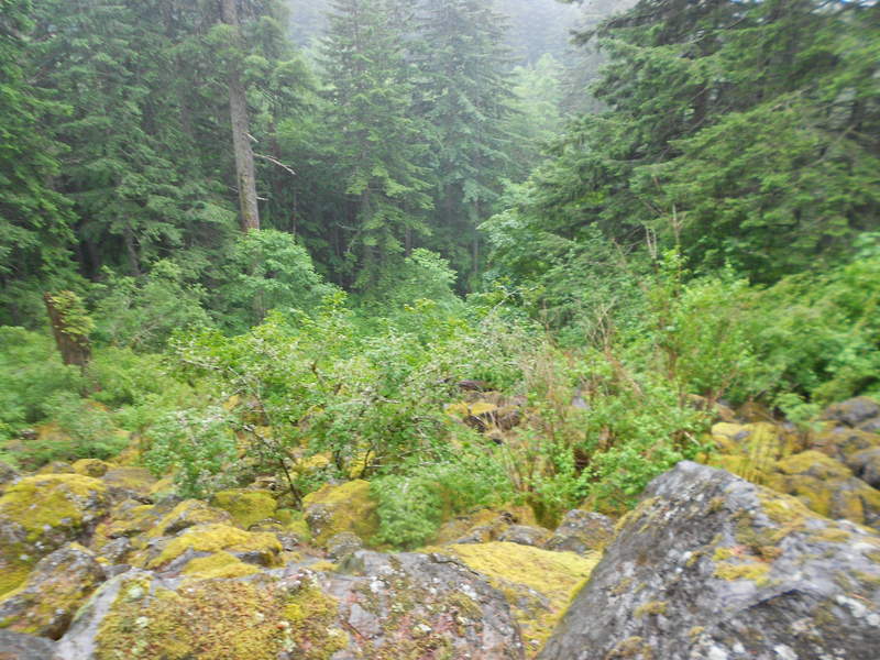 Down boulder field
