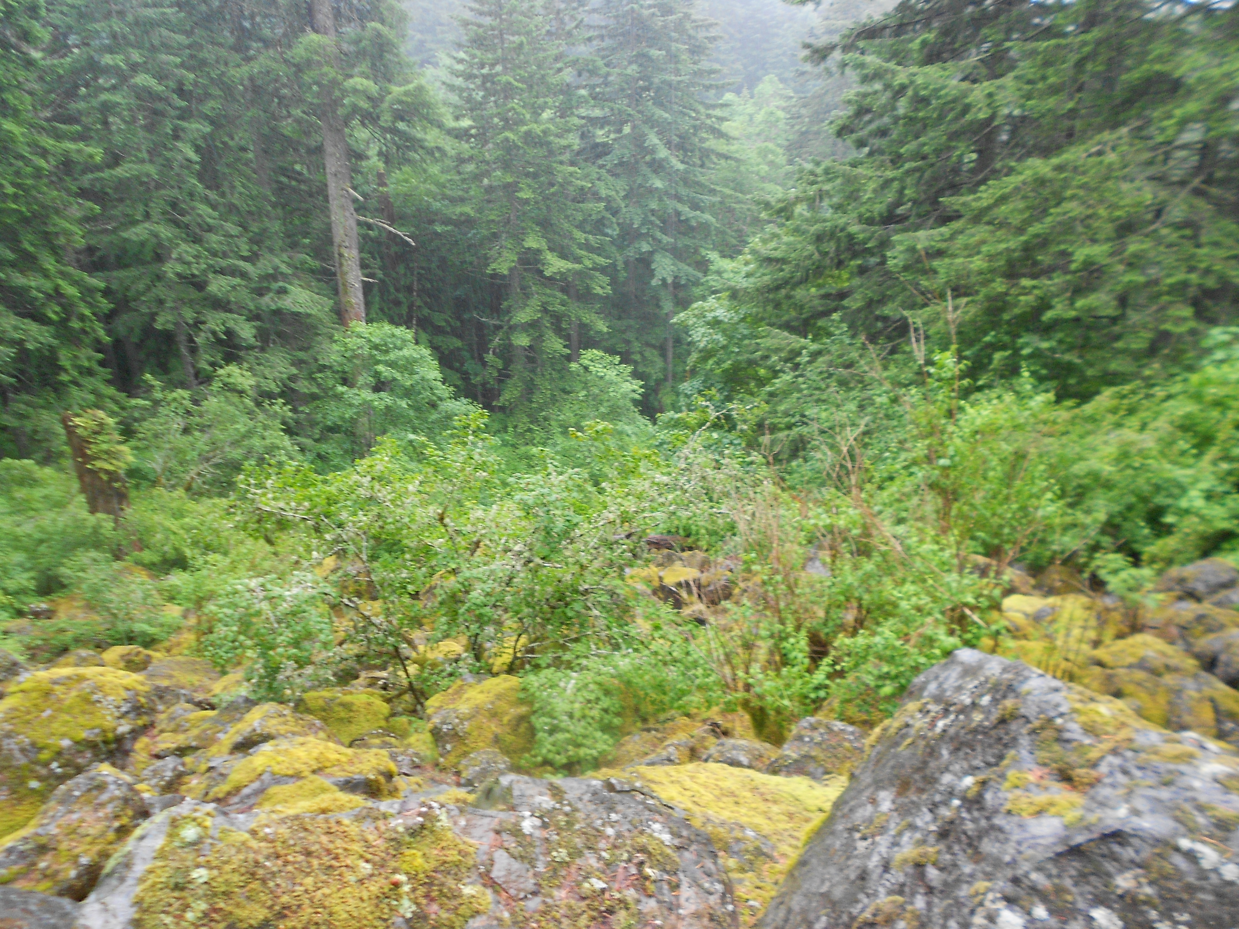 Down boulder field
