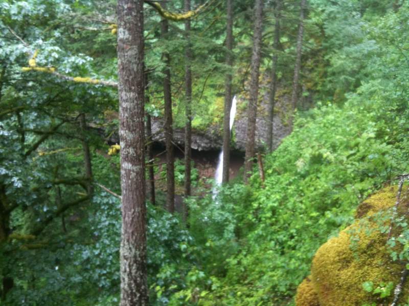 ponytail falls from above