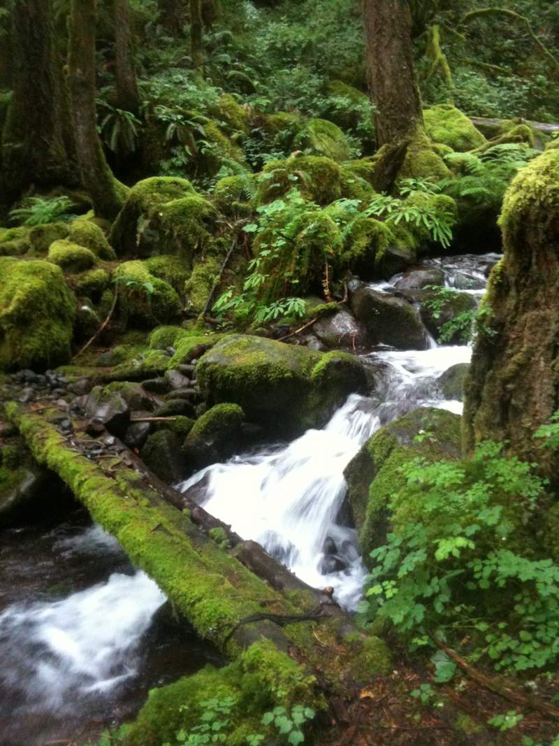 first half of epic horsetail creek crossing.