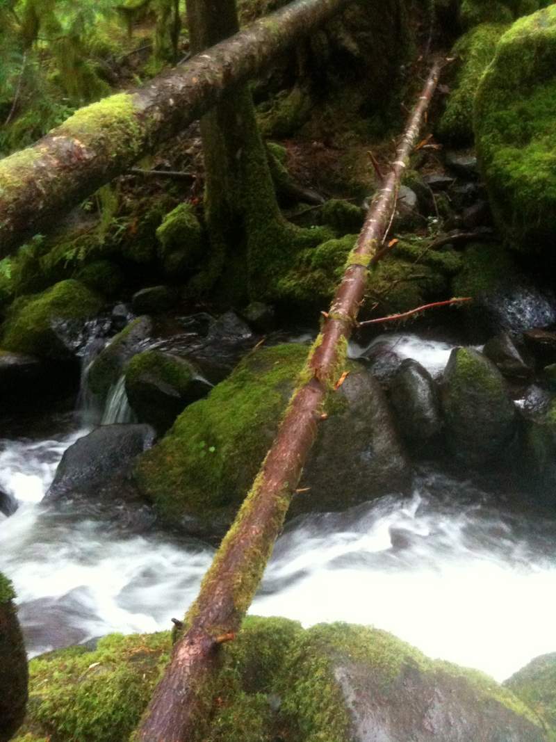 second half horsetail creek crossing.  hold on to that top log!