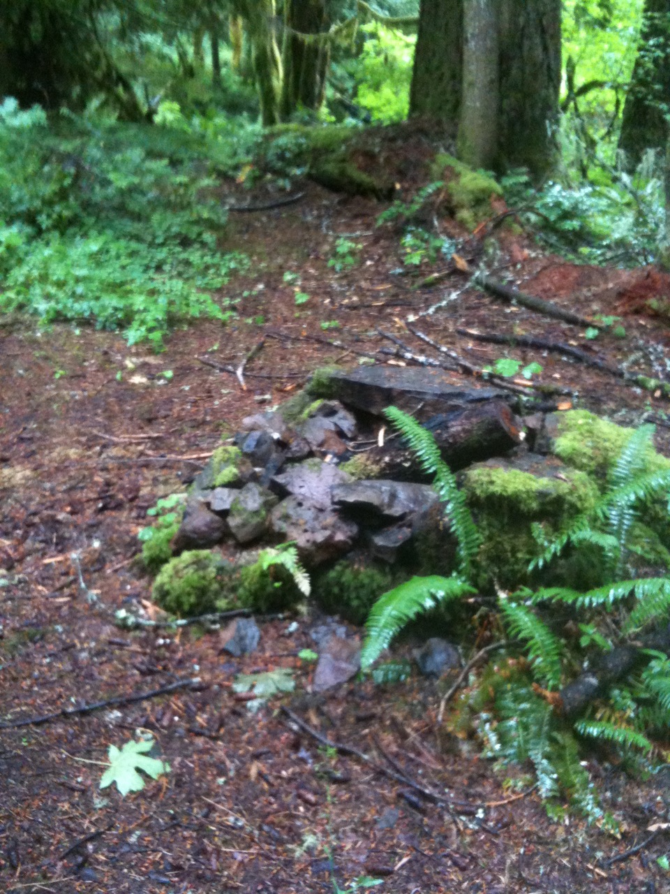 another campsite bit further up the trail, with water