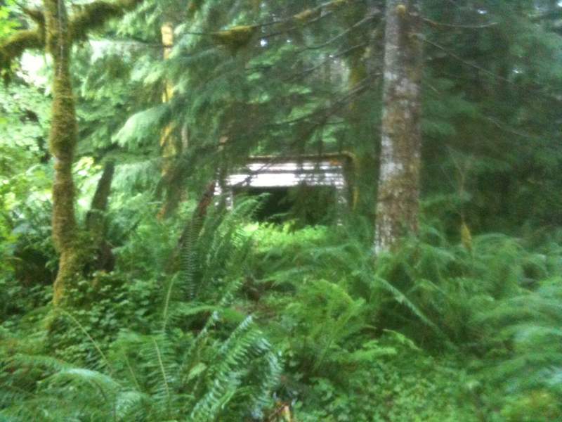 other shelter.  sorry for the condensation blur