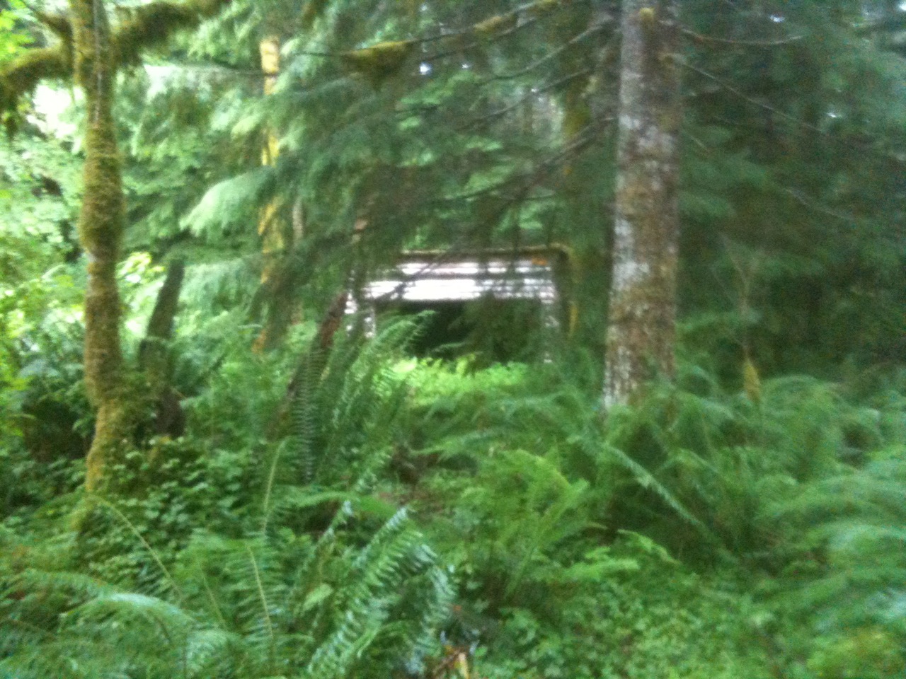 other shelter.  sorry for the condensation blur