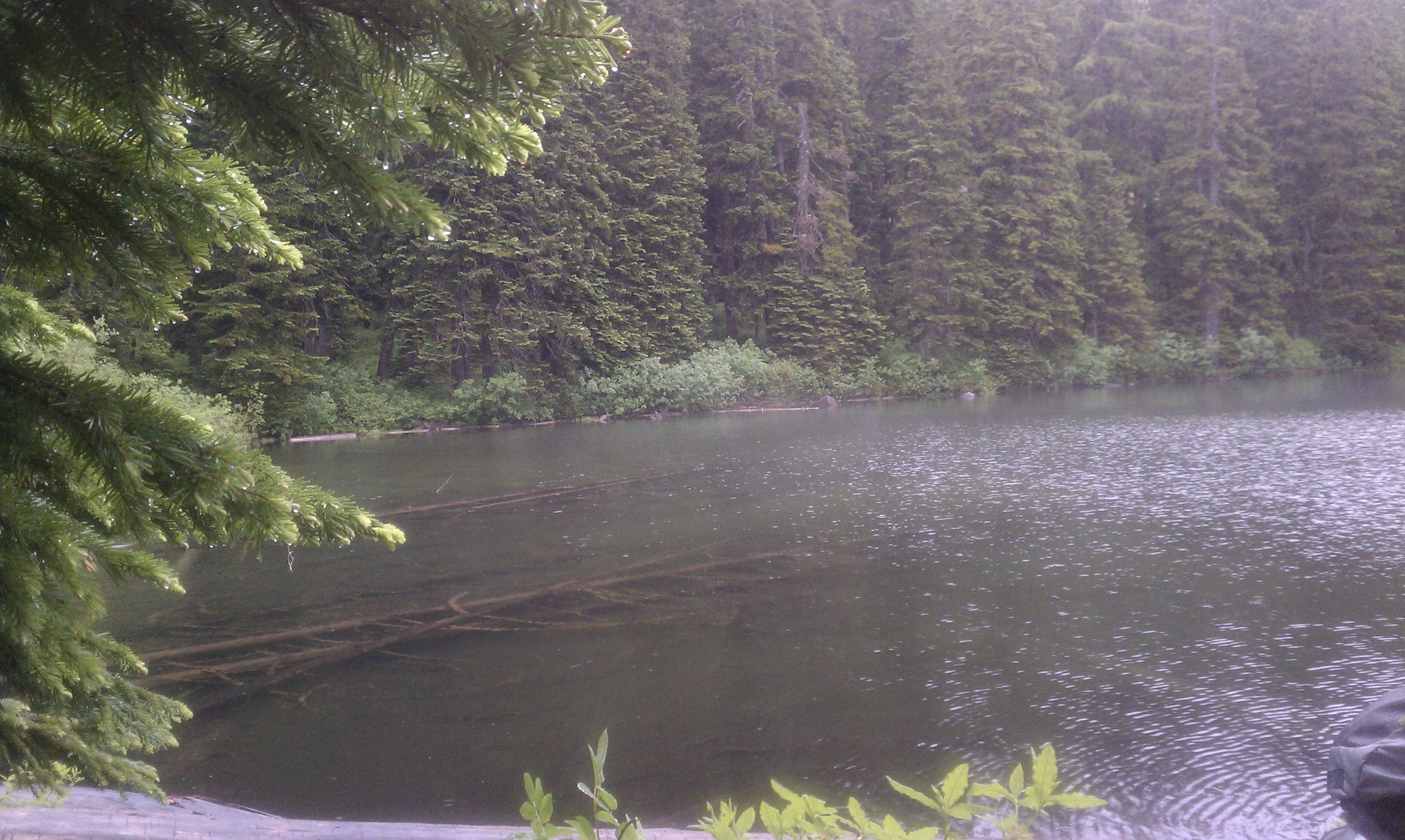 Scout Lake