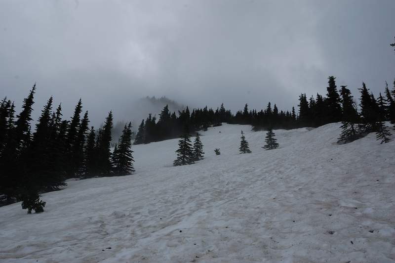 Sullivan's directions were not very helpful here, nor my visual memory from good-weather hike to Cairn Basin last year