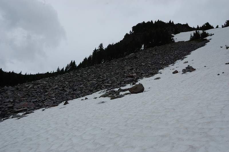 Our turnaround point for today, since there's no fun walking on snow in the rain. We heard two marmots about here, but didn't see them