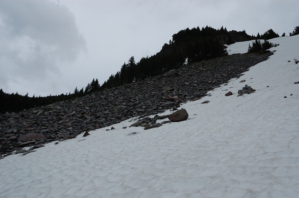Our turnaround point for today, since there's no fun walking on snow in the rain. We heard two marmots about here, but didn't see them