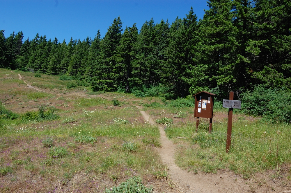 Beginning of trail