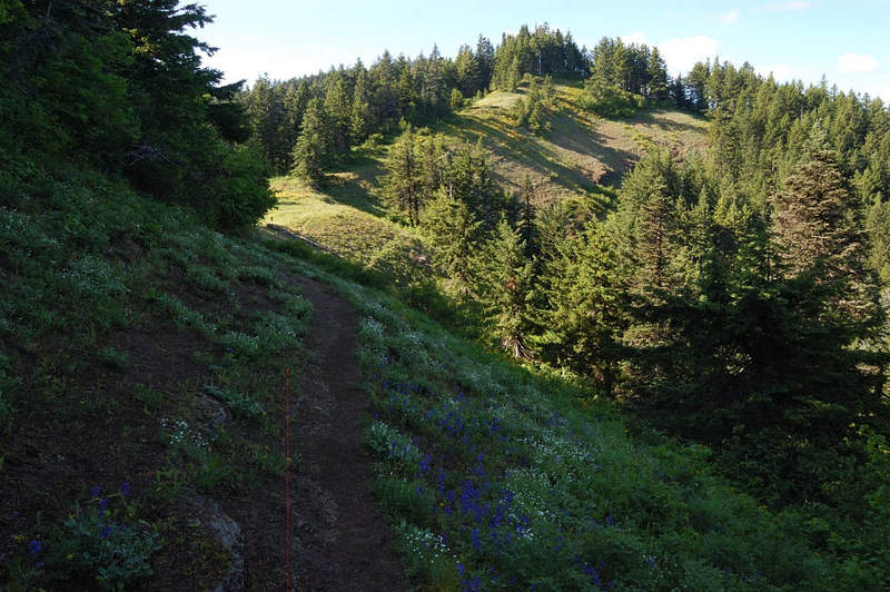 Small meadows line the trail above Grassy Knoll
