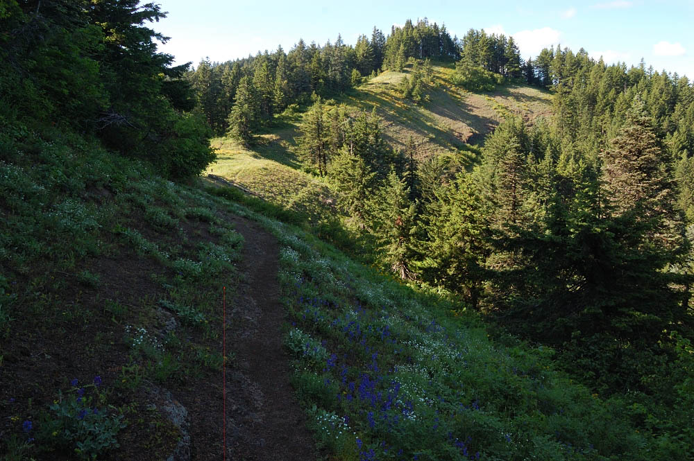 Small meadows line the trail above Grassy Knoll