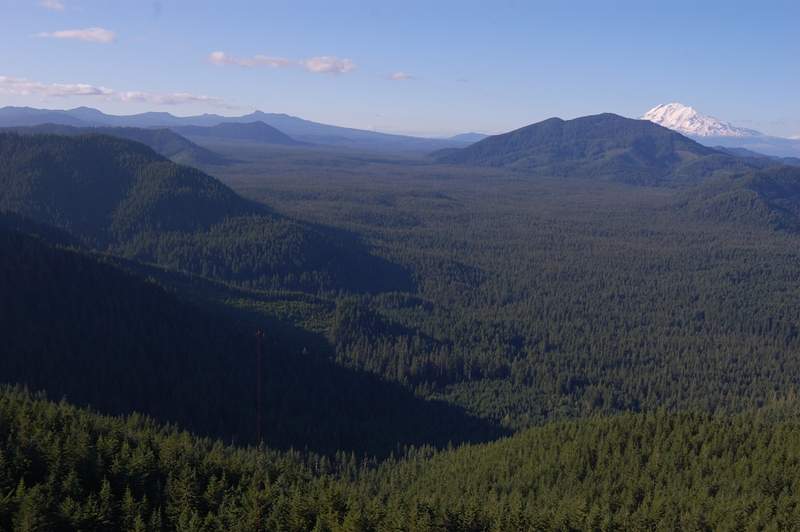 Big Lava Bed and Mt. Adams