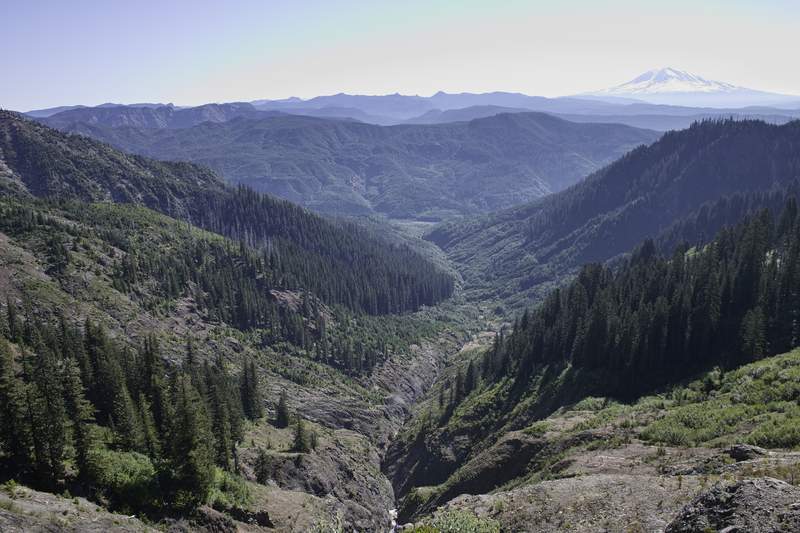 Ape Canyon.